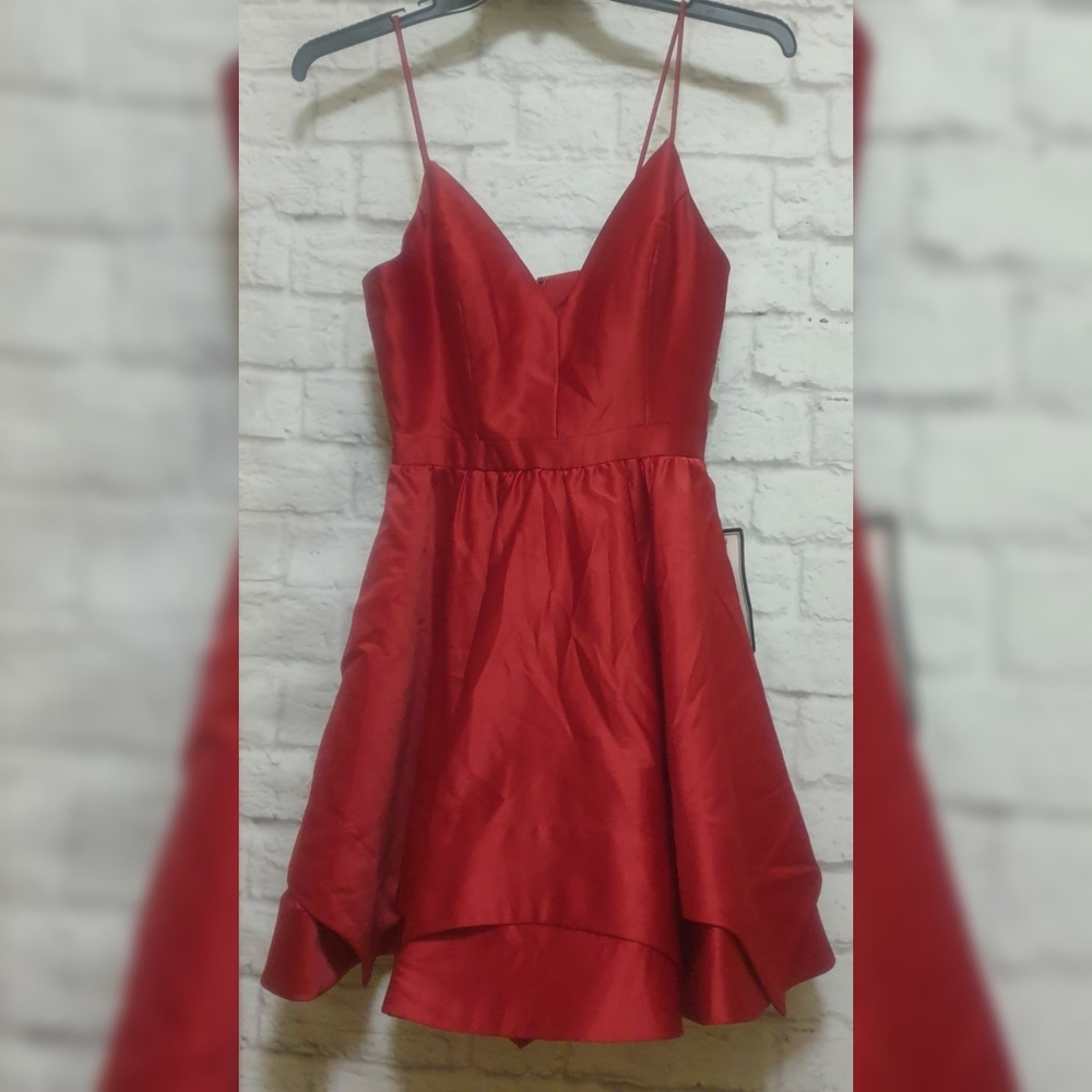 Blondie Nites red dress